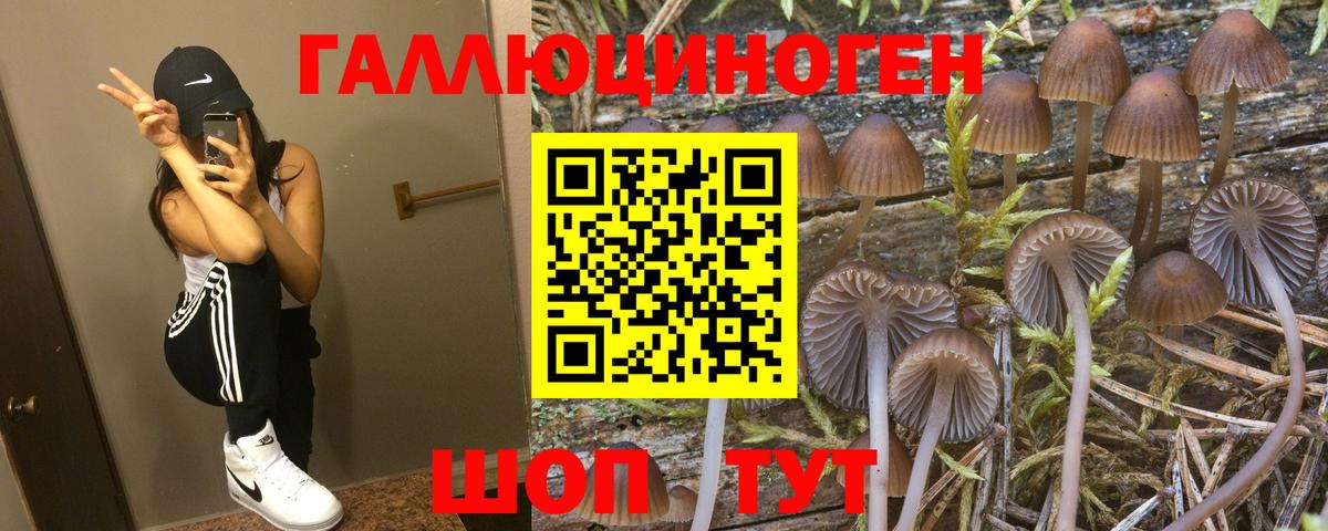 Унеча  Галлюциногенные грибы ЛСД  Вход с VPN  Галлюциногенные грибы ЛСД 